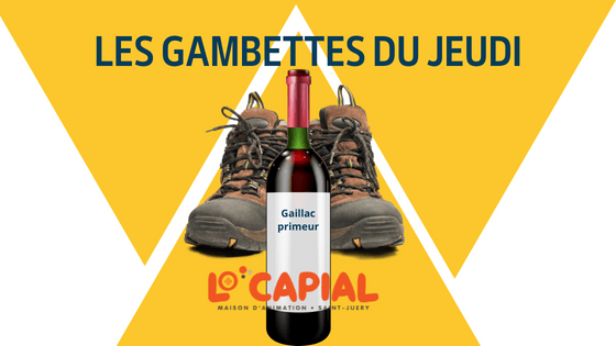 Gaillac-gambettes-du-jeudi-site